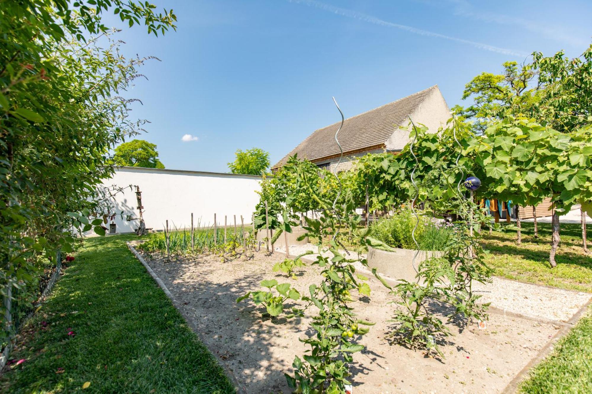 Uiferhaeuser Illmitz Exterior foto